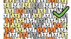 Jawaban Brain Out Level 52 temukan panda