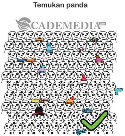 Temukan panda (Brain Out Level 105)