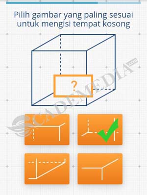 Tes IQ Memorado 13