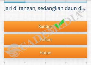 Tes IQ Memorado 5