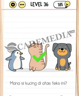 Kunci Jawaban Brain Test Level 31 32 33 34 35 36 37 38 39 40 Cademedia