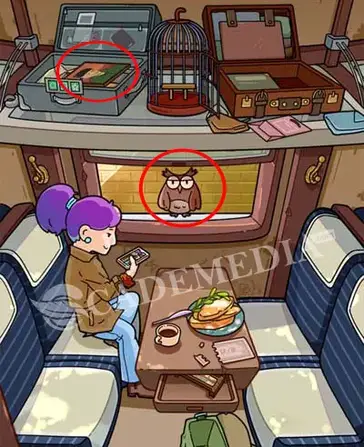 Kunci Jawaban Find Out Kereta Burung Owl Train Cademedia