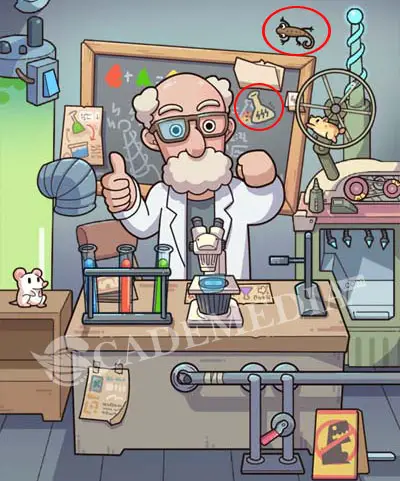 Kunci Jawaban Find Out Laboratorium (Crazy Lab) : tabung kimia putih/abu-abu dan cicak atau tokek
