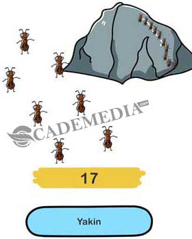 Hitung semut (Brain Out Level 31)