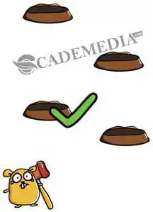 Kunci Jawaban Brain Out Level 31 32 33 34 35 36 37 38 39 40 Cademedia