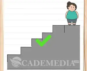 Kunci Jawaban Brain Test 2 Fitnes Sehat Cindy Level 1 20 Cademedia