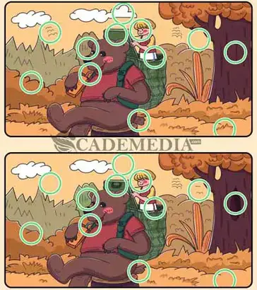 Kunci Jawaban Find Out Mode Cerita Hewan Stage 1 12 Cademedia