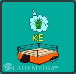 Kunci Jawaban Tebak Tebakan 2020 Tebak Gambar Level 32