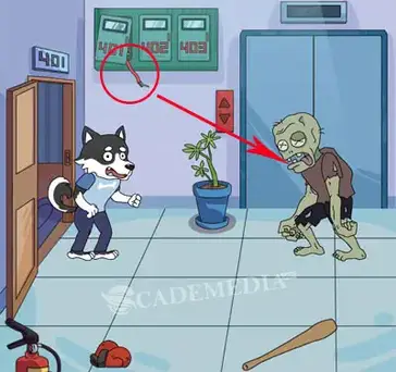 Kunci Jawaban Brain Find Anjing Husky Tantangan Challenge Cademedia