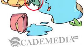 Kunci Jawaban Brain Find Level 61