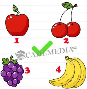 Ketuk buah-buah ini berdasarkan urutannya (Brain Test Level 114)