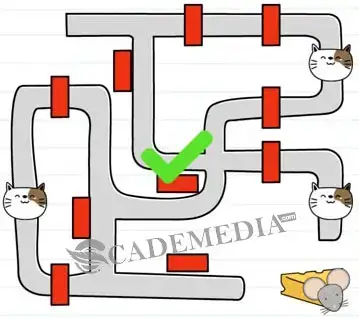 Kunci Jawaban Brain Test Level 111 112 113 114 115 116 117 118 119 120 Cademedia