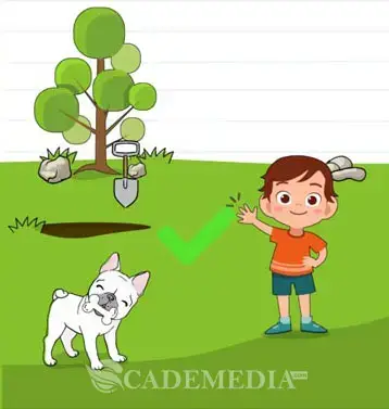 Kunci Jawaban Brain Test Level 11 12 13 14 15 16 17 18 19 20 Cademedia