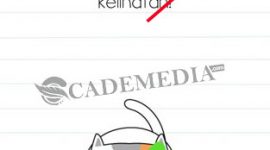 Kunci Jawaban Brain Test Level 38