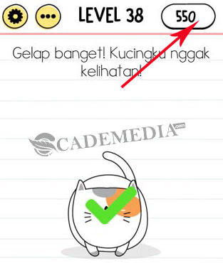 Gelap banget! Kucingku nggak kelihatan! (Brain Test Level 38)