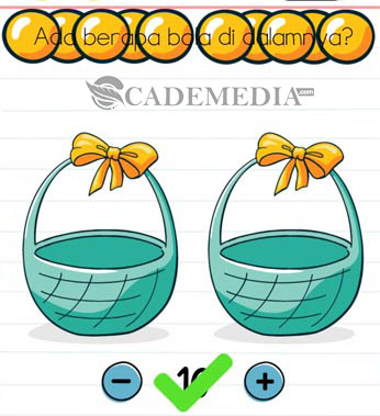 Ada berapa bola didalamnya? (Brain Test Level 75)