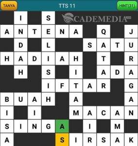 Kunci Jawaban TTS Asli Level 11 s/d 20