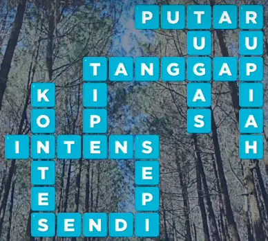 Kunci Jawaban Teka Teki  (TTS) Santai Top Selfie Pinusan Kragilan Level 31