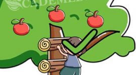 Kunci Jawaban Brain Out Level 154 Petik buah
