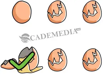 Telur yang mana yang mentah? (Brain Out Level 19)