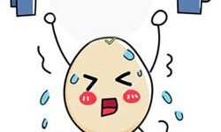 Kunci Jawaban Brain Out Level 207 Selamatkan telur