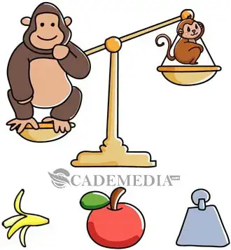 Kunci Jawaban Brain Out Level 211 212 213 214 215 216 217 218 219 220 Cademedia