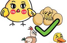 Kunci Jawaban Brain Out Level 221 Temukan anak ayam