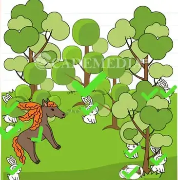 Kunci Jawaban Brain Test Level 161 162 163 164 165 166 167 168 169 170 Cademedia
