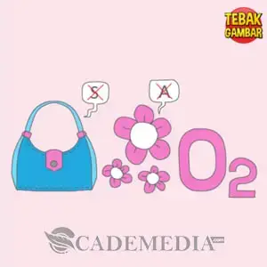 Kunci Jawaban Tebak Gambar Level 42 Nomor 19