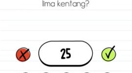 Kunci Jawaban Brain Test Level 307