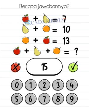 Berapa jawabannya? (Brain Test Level 309)