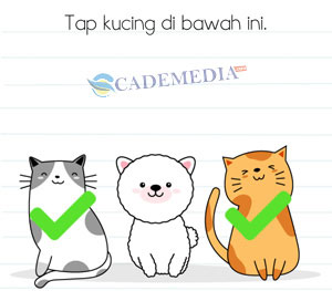 Kunci Jawaban Brain Test Minggu 20 Tap kucing di bawah ini