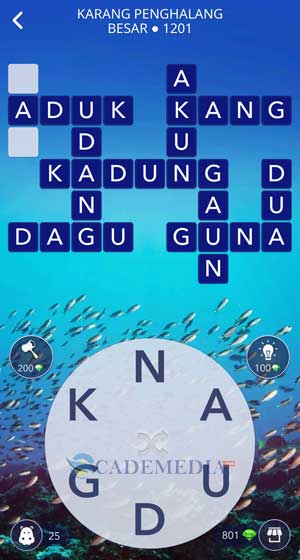 Kunci Jawaban WOW Karang Penghalang Besar 1