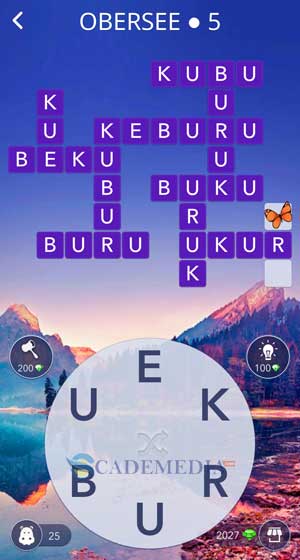 Kunci Jawaban WOW Obersee 5