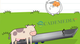 Kunci Jawaban Brain Test Level 347