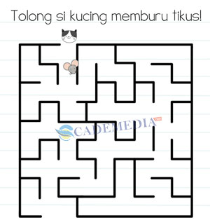 Kunci Jawaban Brain Test Minggu 35