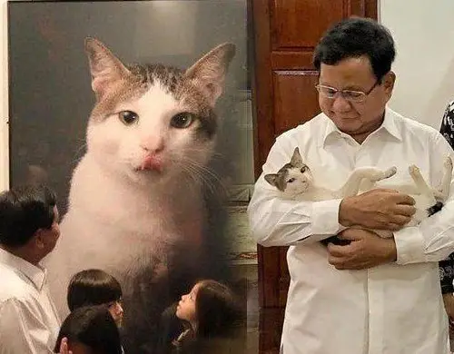 Bapak Prabowo bersama kucingnya