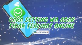 Cara Setting WhatsApp Agar Tak Terlihat Online