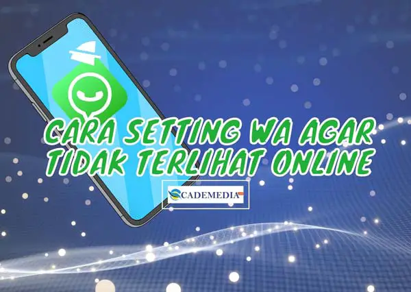 Cara Setting WhatsApp Agar Tak Terlihat Online