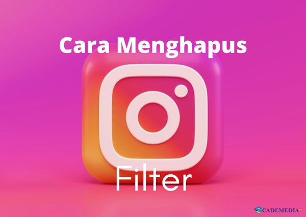 Gambar Ilustrasi Menghapus Filter IG