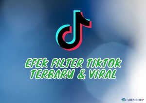 Efek (Filter) TikTok Terbaru dan Viral