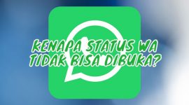 Kenapa Status WA Tidak Bisa Dibuka