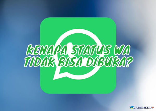 Kenapa Status WA Tidak Bisa Dibuka