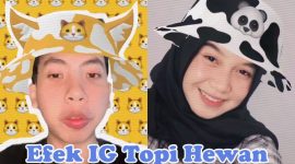 Efek Filter IG topi hewan (animal hat)