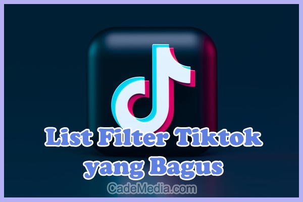 Daftar Nama Efek Filter TikTok yang Bagus untuk HP Android dan iPhone