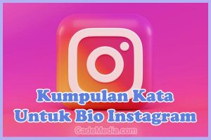 Kumpulan Contoh Kata-kata Bio Instagram Lucu, Keren, Bijak, Islami, Bahasa Indonesia & Inggris