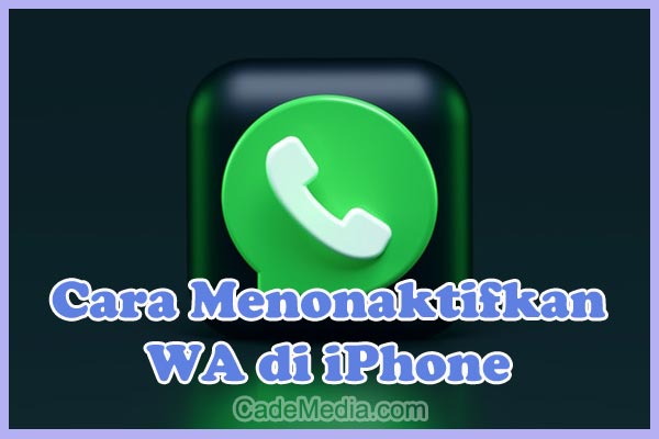 Cara Menonaktifkan (Off)  WA Sementara di iPhone tanpa mematikan data seluler / Wifi agar tidak bisa dihubungi