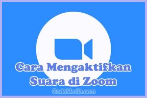 Cara Mengaktifkan Suara (Menghidupkan Audio) di Zoom di HP, Laptop, dan PC