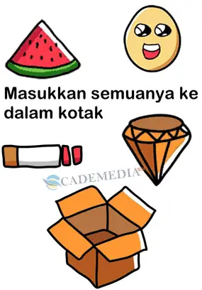 Masukkan semuanya ke dalam kotak (Brain Out Level 37)