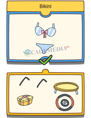 Bikini (Brain Out Rencana Prank Level 13)